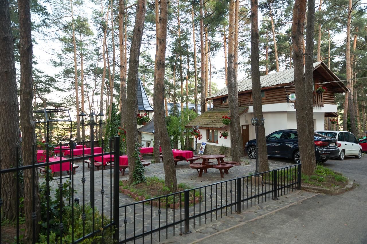 Отель Complex Parc Pini Moinesti Moineşti-35